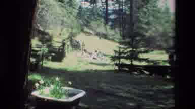 1985 Daffodil Hill California