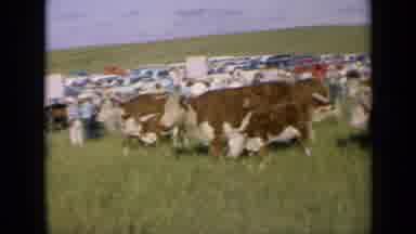 1964 Kansas