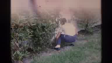 1959 Florida
