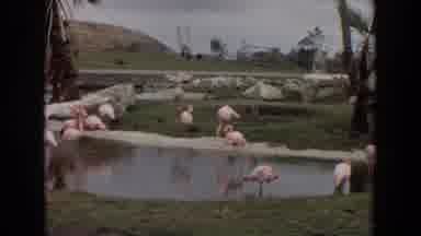 1974 Irvine California