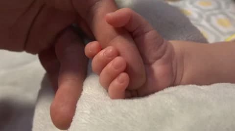 Autumn Fashion Trends: Using Fall Footage in Style Campaigns