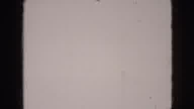 Thumbnail from Pets and Animals (1950-1975) curated collection