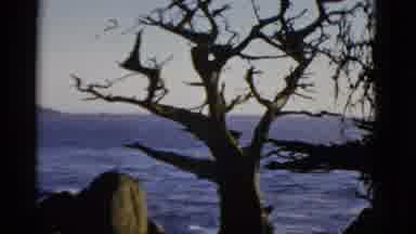 1952 San Francisco California