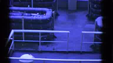 Thumbnail from Military and Veterans (1940-1975) curated collection