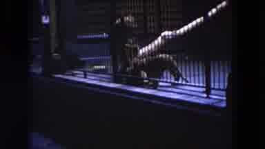 1972 Lincoln Park Illinois