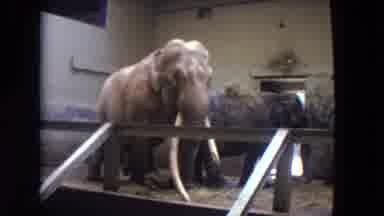 1972 Chicago Illinois