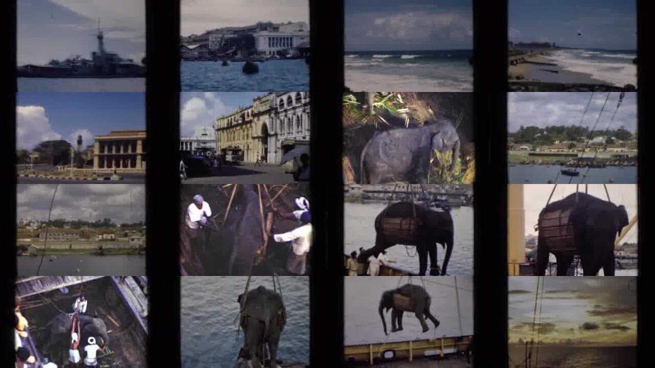1946 Colombo Ceylon: Archival Home Movies & Historical Stock Footage