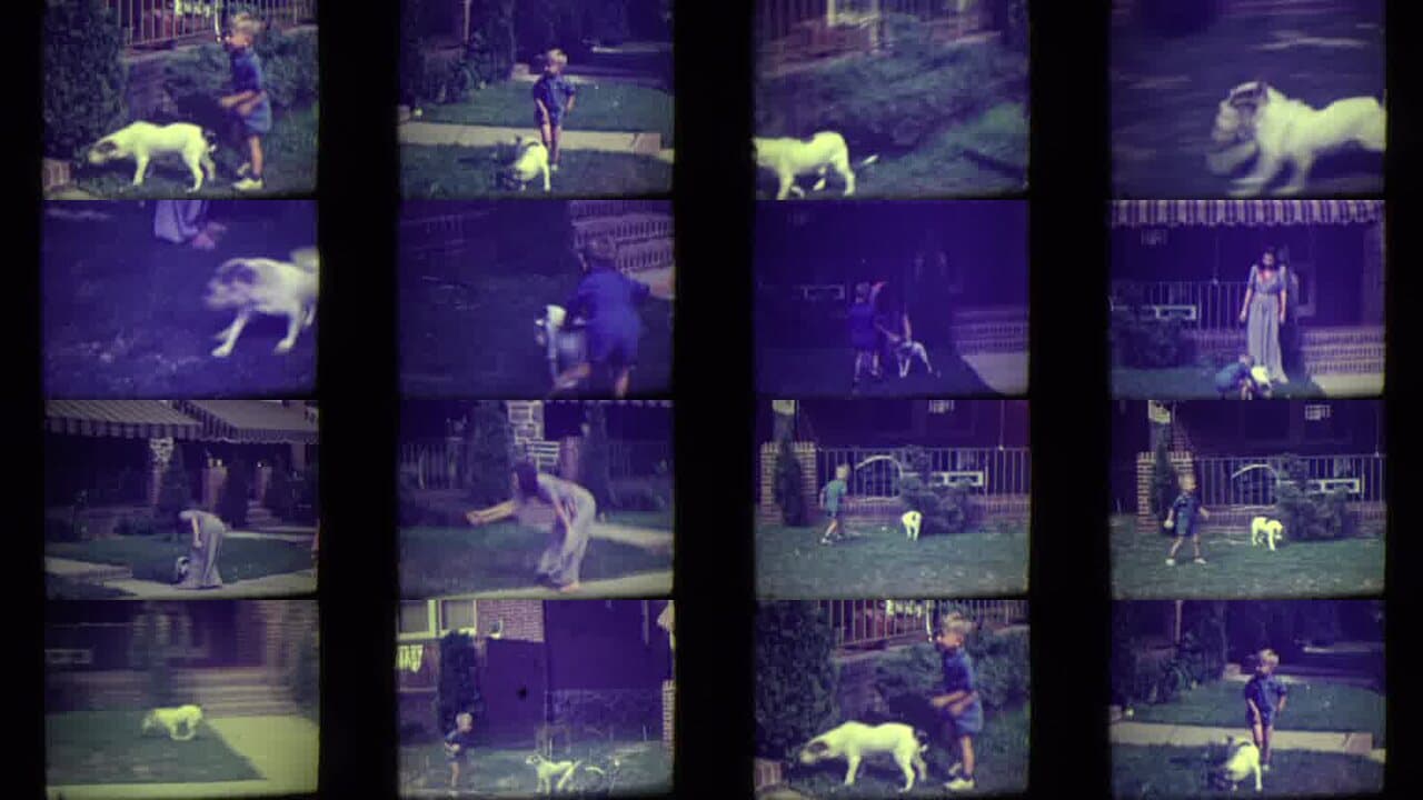 1946 River Forest Illinois: Archival Home Movies & Historical Stock Footage