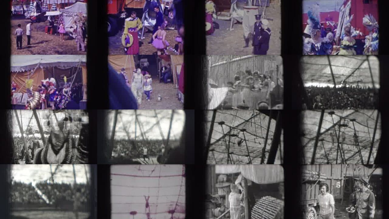 1948 Ringling Brothers Sarasota Florida: Archival Home Movies & Historical Stock Footage