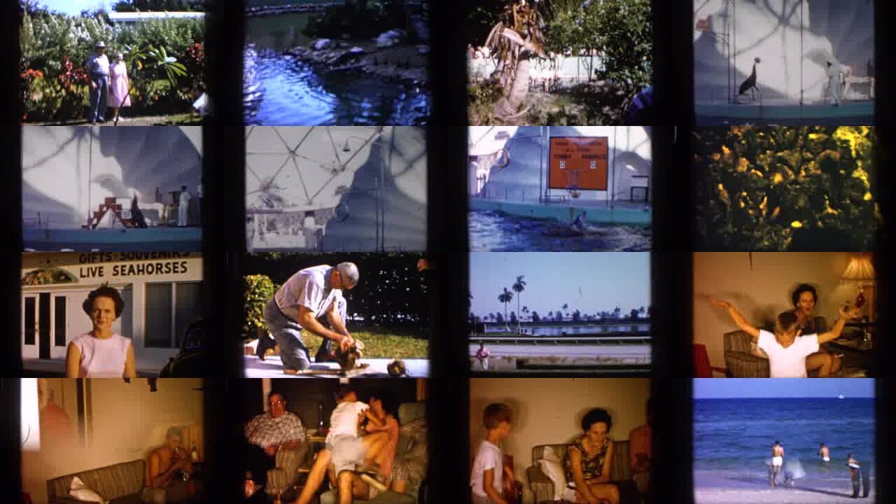 1958 Alabama: Archival Home Movies & Historical Stock Footage