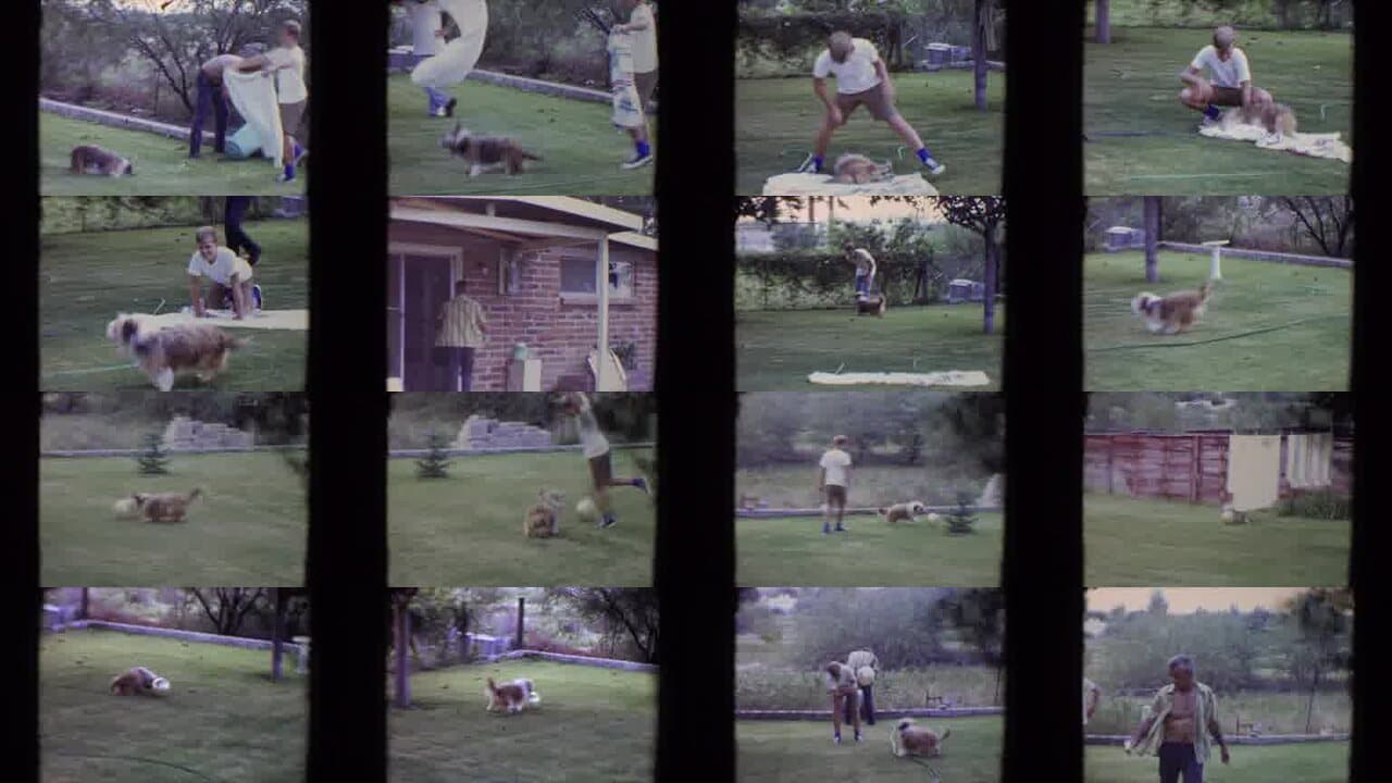 1961 Flagstaff Arizona: Archival Home Movies & Historical Stock Footage