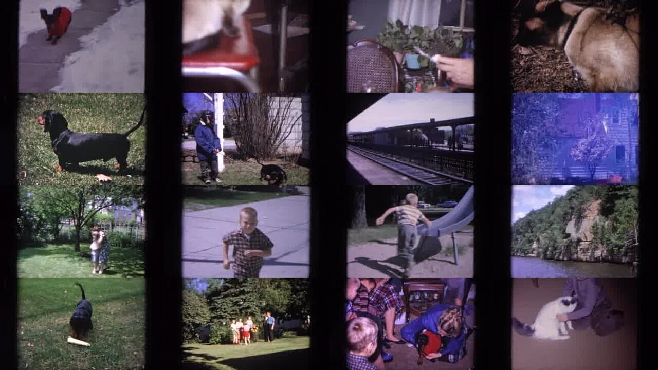 1964 Evanston Illinois: Archival Home Movies & Historical Stock Footage