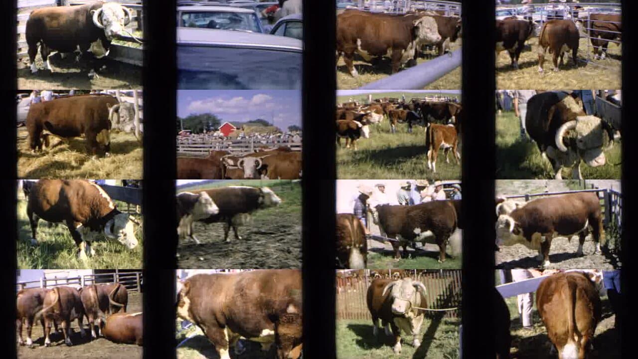 1964 Kansas: Archival Home Movies & Historical Stock Footage