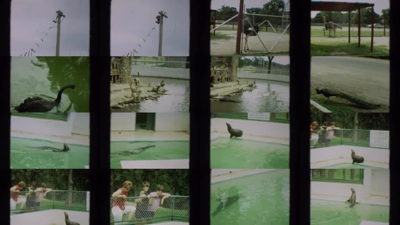 1965 Omaha Nebraska: Archival Home Movies & Historical Stock Footage