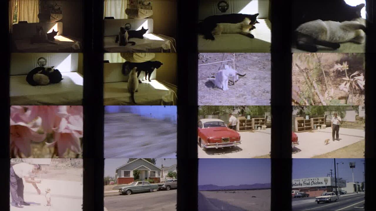 1966 Barstow California: Archival Home Movies & Historical Stock Footage