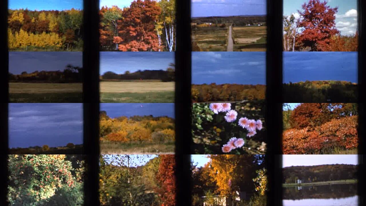 1966 Sauk Centre Minnesota: Archival Home Movies & Historical Stock Footage