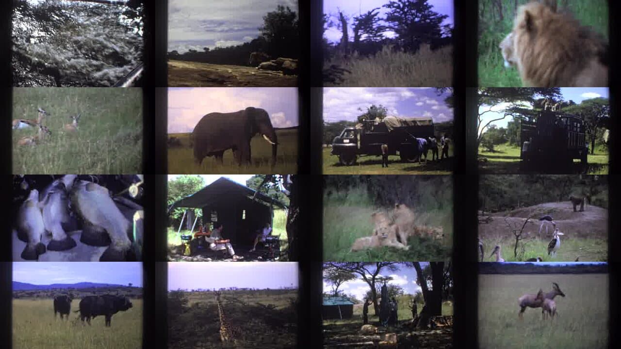 1969 Nigeria: Archival Home Movies & Historical Stock Footage