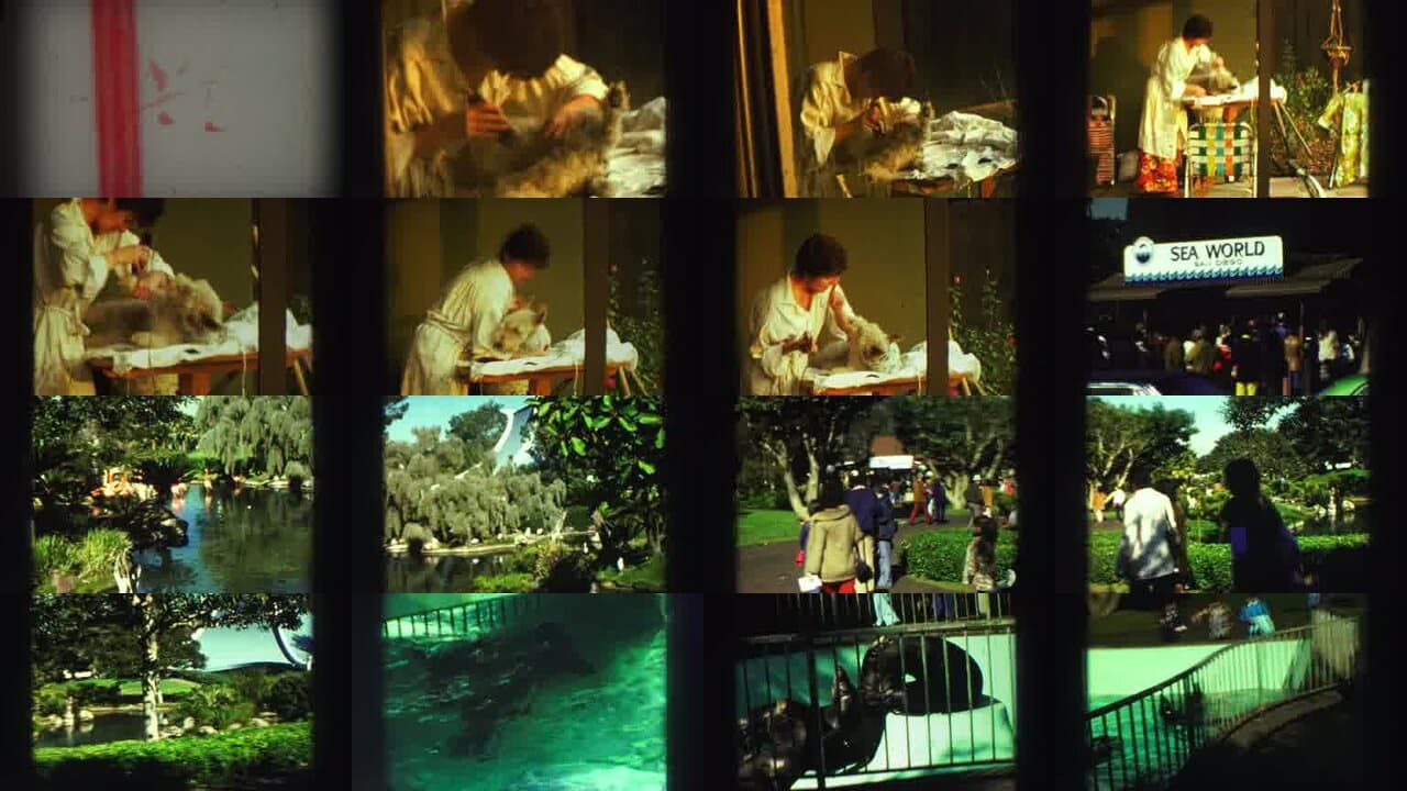 1969 Reno Nevada: Archival Home Movies & Historical Stock Footage