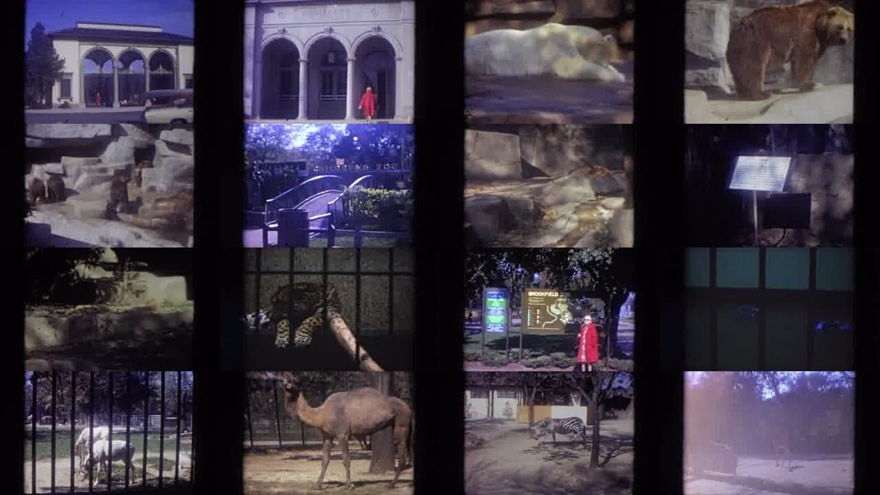 1972 Lincoln Park Illinois: Archival Home Movies & Historical Stock Footage