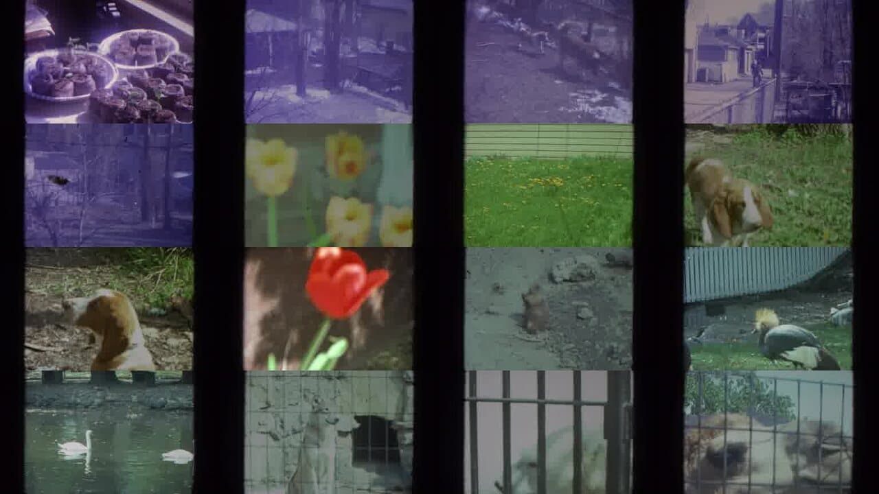 1972 Racine Wisconsin: Archival Home Movies & Historical Stock Footage