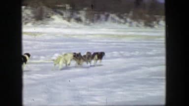 Winter Family Outings (1945-1970) clip still 3