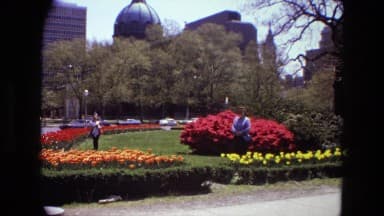 Thumbnail from Gardens and Backyards (1950-1975) curated collection