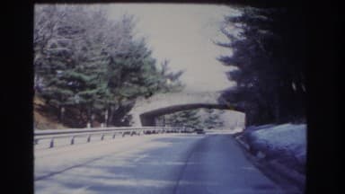 Thumbnail from Roadside America: Cars and Highways (1950-1970) curated collection