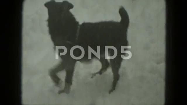 Thumbnail from Birthday Parties (1950-1975) curated collection