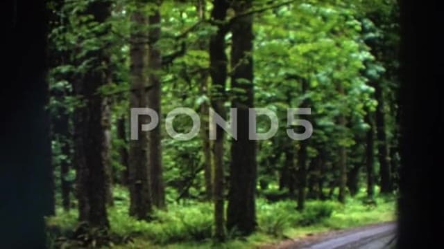 Thumbnail from Beach Picnics and Shorelines (1950-1970) curated collection