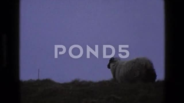 Thumbnail from London Street Life (1960s-1970s) curated collection