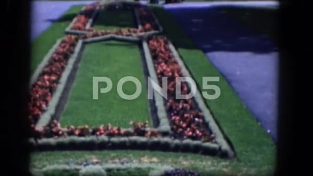 Thumbnail from Classic Cars and Automobiles (1950-1970) curated collection