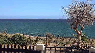 A Peaceful Ocean-view in Los Cabos