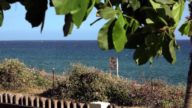 Tranquility By The Ocean in Los Cabos
