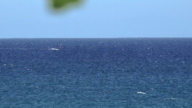 A Vast Ocean Under A Clear Blue Sky in Los Cabos