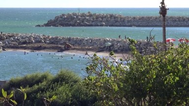 People Having A Fun Beach Vacation in Los Cabos