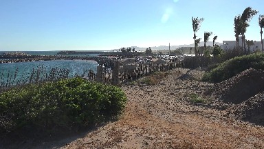 A Relaxing Landscape By The Ocean in Los Cabos