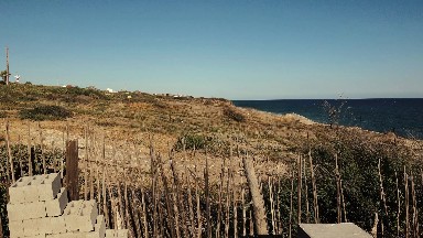 A Quiet Landscape by the Ocean in Los Cabos