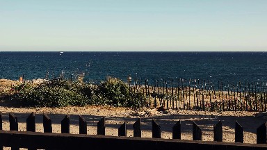 A Beautiful Early Morning in Los Cabos
