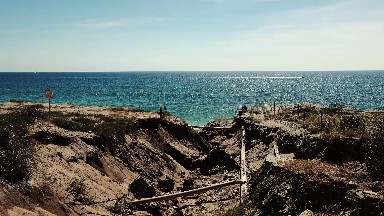Sea Attraction in Los Cabos