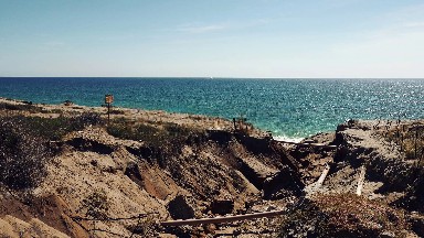Amazing Sea Attraction in Los Cabos