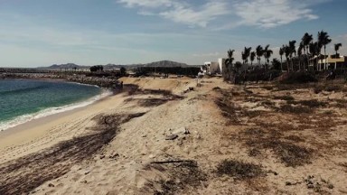 Peaceful Seashore in Los Cabos