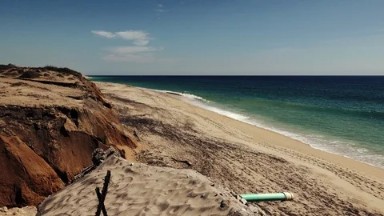 Peaceful Sea Attraction in Los Cabos