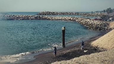 Strategic Fishing in Los Cabos