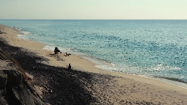 Dogs Playing Fetch by the Ocean