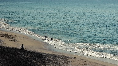 Playing Time with My Dogs in Los Cabos