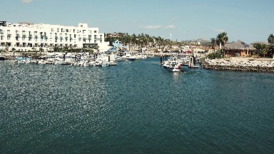 One Fine Day at the Port