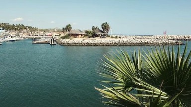 A Deep Green Sea in Los Cabos