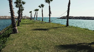 A Beautiful Grass Pathway