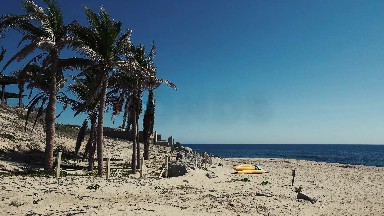 A Blue Cloudless Sky in Los Cabos