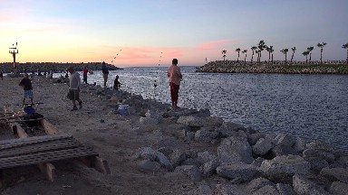 An Afternoon Fishing Delight in Los Cabos